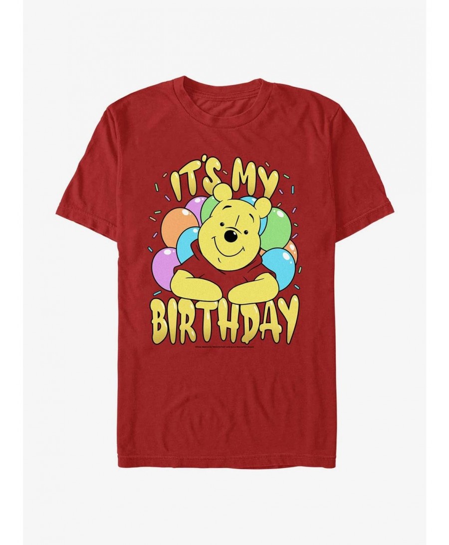 Hot Sale Disney Winnie The Pooh It's My Birthday Extra Soft T-Shirt $8.16 T-Shirts